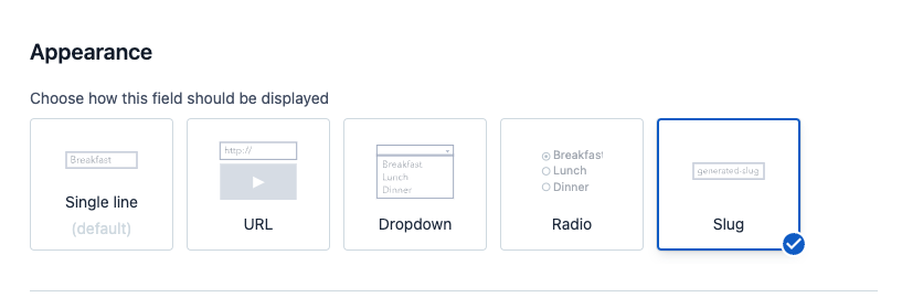 Slug field appearance